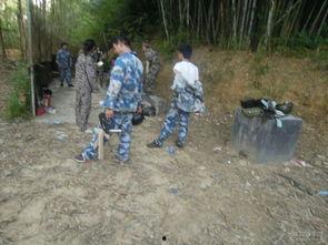 国产打野战,激情四溢的国产电竞新篇章